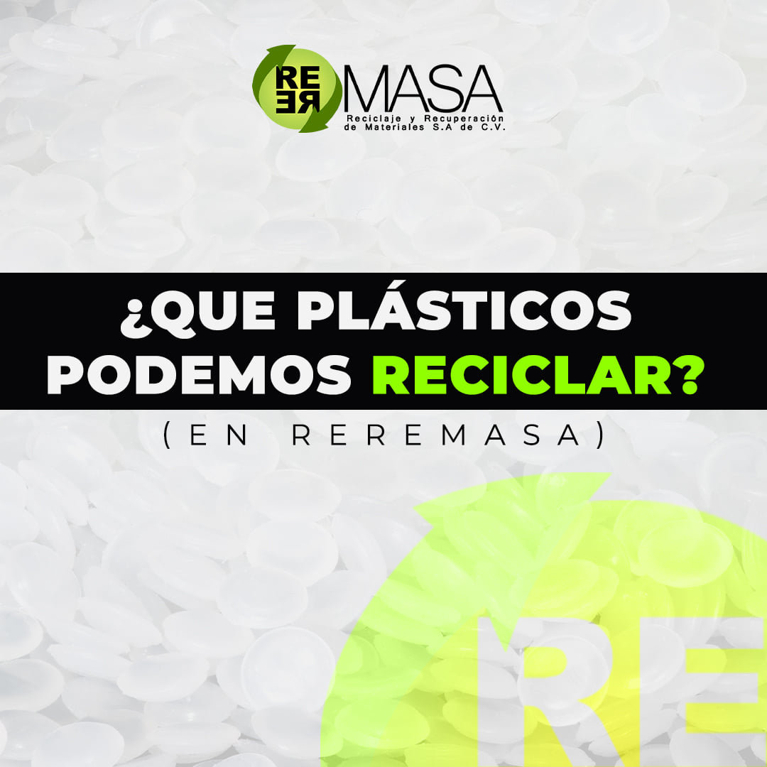 474297295_997085108920055_6212123197647346990_n